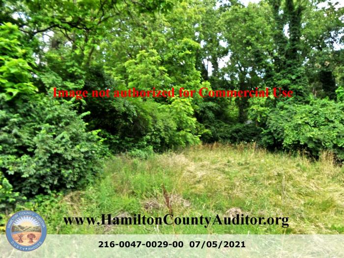 Photo 07/05/2021